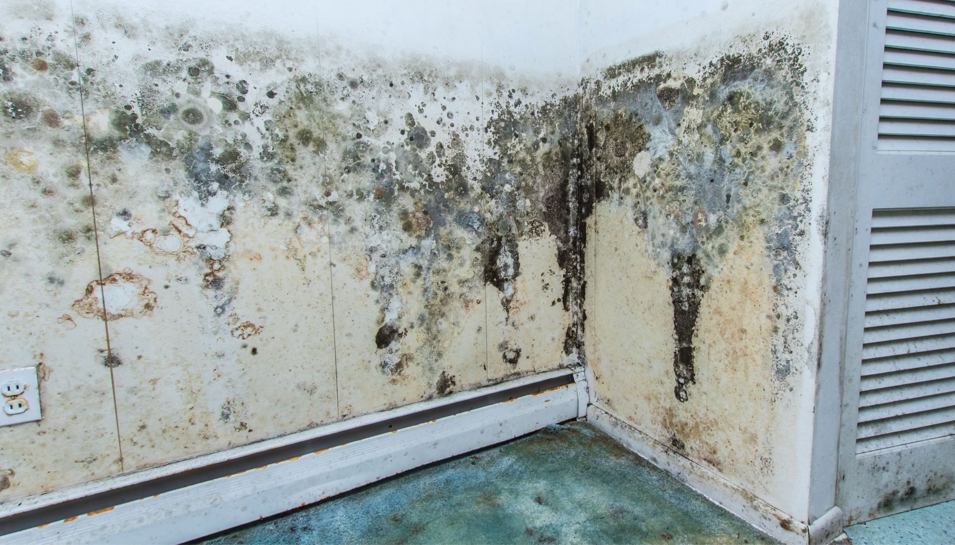 Professional mold removal, odor control, and water damage restoration service in Omaha, Nebraska.