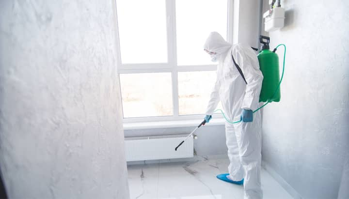 We provide the highest-quality mold inspection, testing, and removal services in the Omaha, Nebraska area.